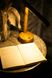 Лампа настольная Lamp v.1 27092023-1 фото 5